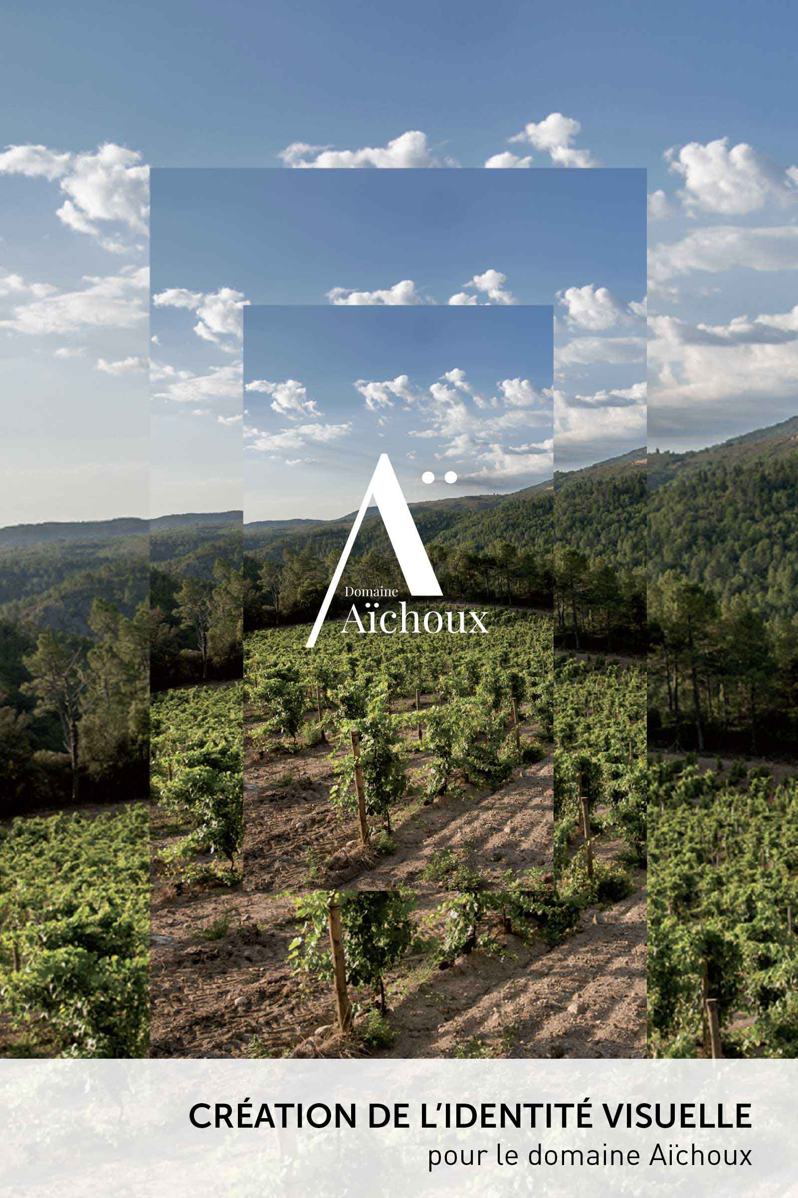 Domaine Aïchoux aichoux/photos/02.jpg