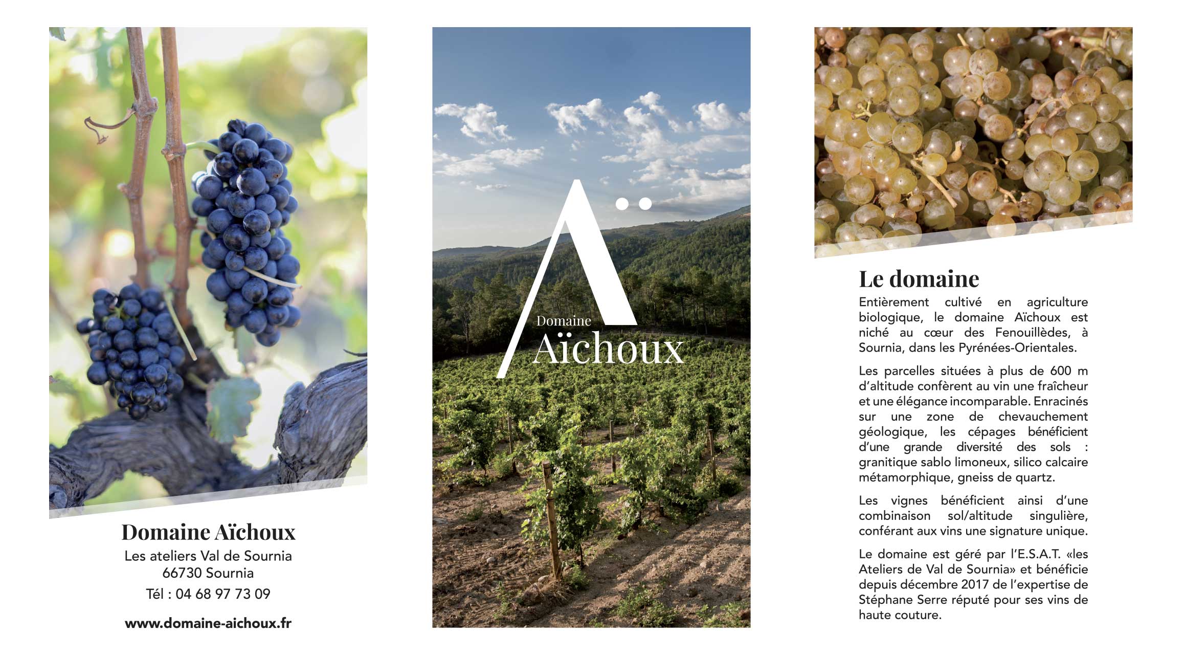 Domaine Aïchoux aichoux/photos/07.jpg